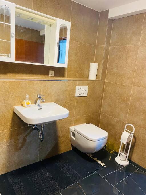 Apt. Sims Bei Stuttgart Flughafen/Metzingen 2-6 Person 스타인브론 외부 사진